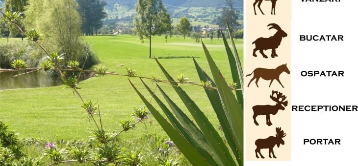 Organigrama Hotel savana